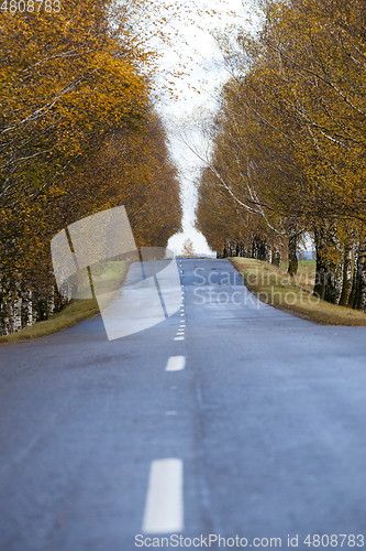 Image of asphalted road, autumn and fog