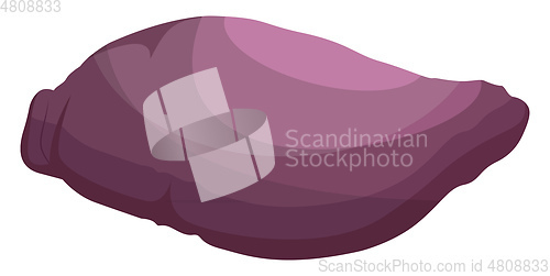 Image of Purple maori potato vector illustration of vegetables on white b