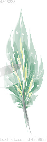 Image of Green feather painting vector or color illustration