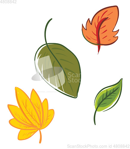 Image of Four multi-colored cartoon leaves vector or color illustration