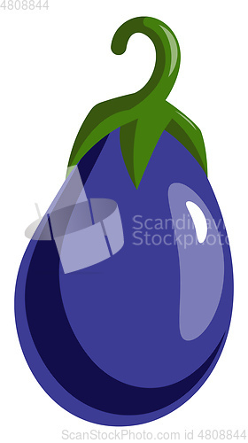 Image of Blue Long Brinjal, vector color illustration.