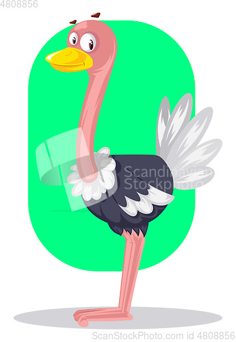 Image of Yellow Nose Bird, vector color illustration.