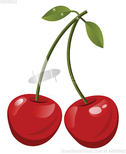 Image of Red cherrys with green leafs  cartoon fruit vector illustration 