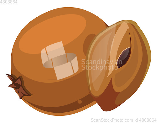 Image of Orange chico cut in half  cartoon fruit vector illustration on w