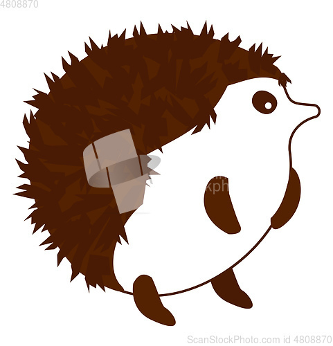 Image of Porcupine vector color illustration.