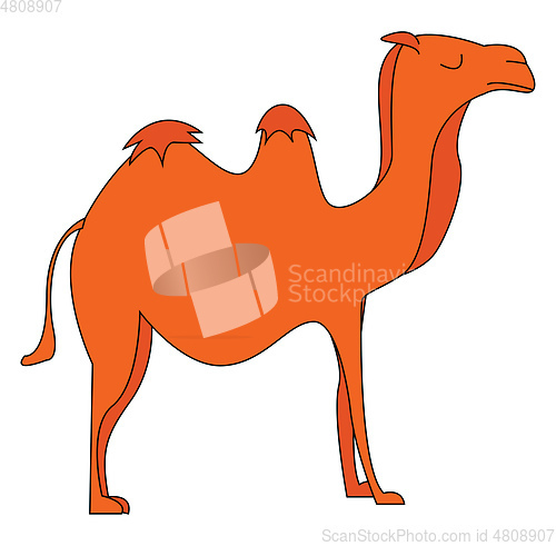 Image of Vector illustration of an orange camel on white background.