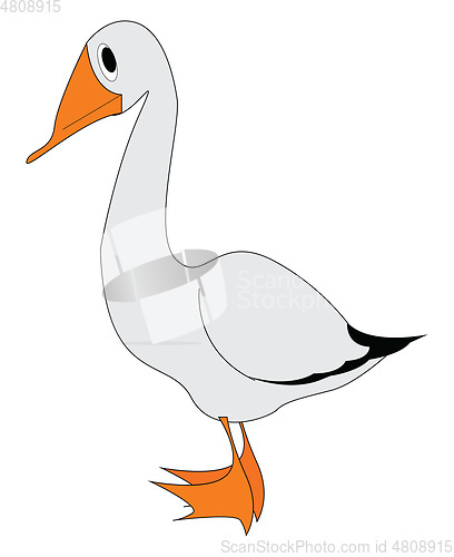 Image of A big white goose vector or color illustration