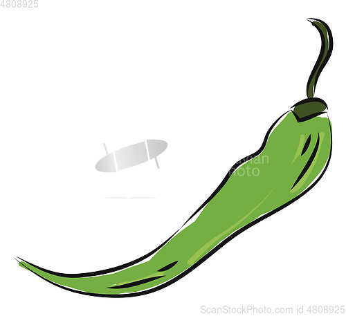 Image of Hot green pepper illustration vector on white background