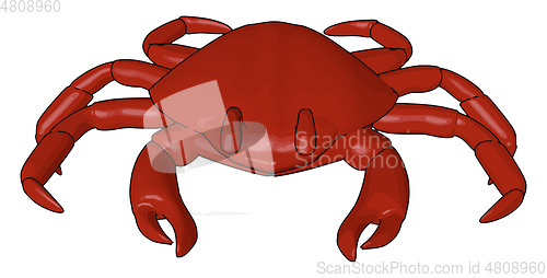 Image of A red crab type of shellfish and seafood vector or color illustr