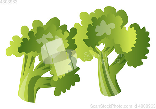 Image of Two Trees, vector color illustration.