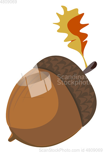 Image of Cartoon brown acorn vector illustartion on white background