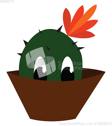 Image of Cactus plant on a brown pot vector or color illustration