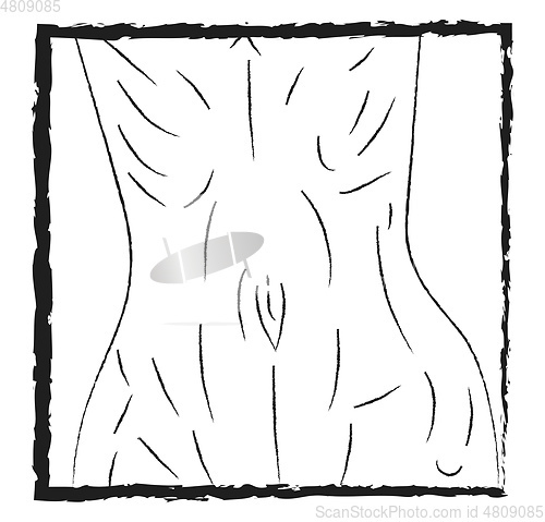Image of Lean waist vector or color illustration
