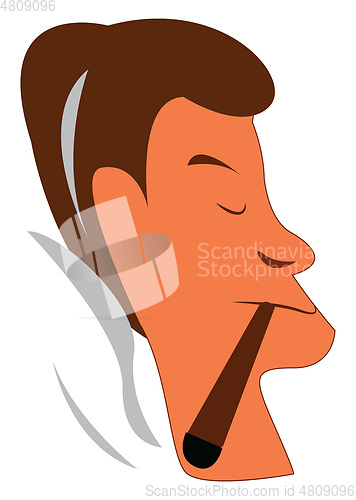 Image of The side view of the face of a man smoking a thick cigar pipe ve