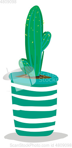 Image of A tall cactus plant with small arms planted in a decorative pot 