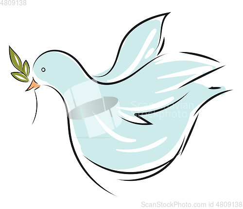 Image of Vector illustration on white background of a light blue dove wit