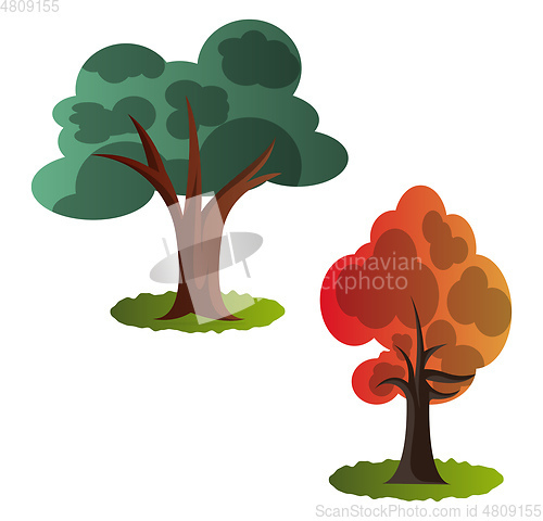 Image of Two autumn tree vector illustration on white background