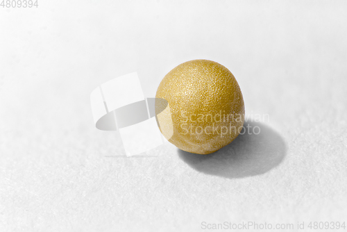 Image of mustard seed macro