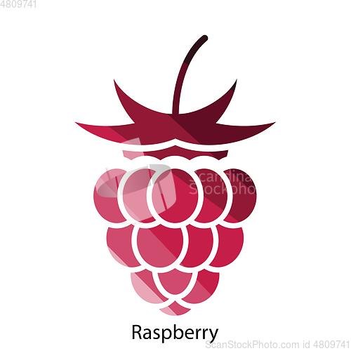 Image of Raspberry icon