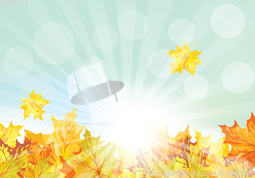 Image of Autumn  Frame