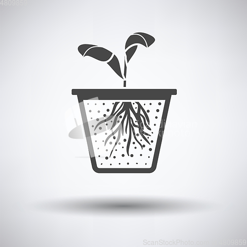 Image of Seedling icon