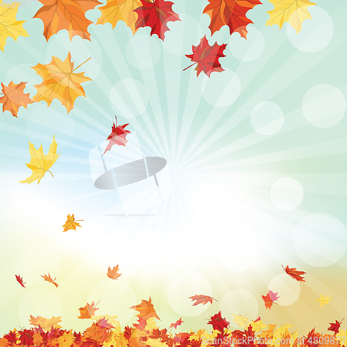 Image of Autumn  Frame