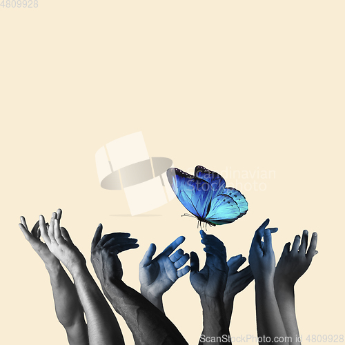 Image of Contemporary art collage, modern design. Retro style. Human hands catching beautiful blue butterfly on pastel yellow background