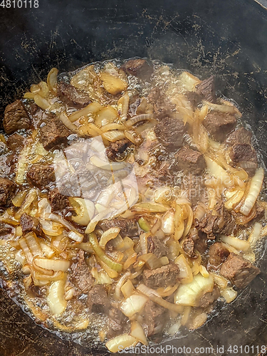 Image of gourmet beef stew cooked in cauldron on outdoor fire pit