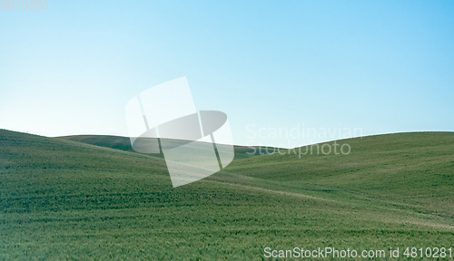 Image of Magical wheat farm fields in palouse washington