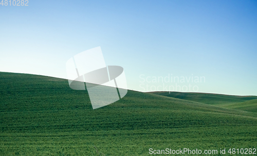 Image of Magical wheat farm fields in palouse washington