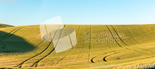 Image of Magical wheat farm fields in palouse washington