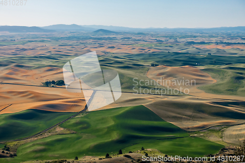 Image of Magical wheat farm fields in palouse washington