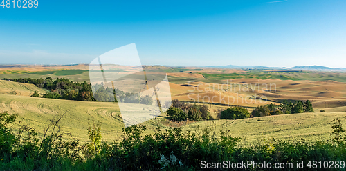 Image of Magical wheat farm fields in palouse washington