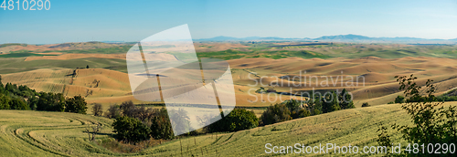 Image of Magical wheat farm fields in palouse washington