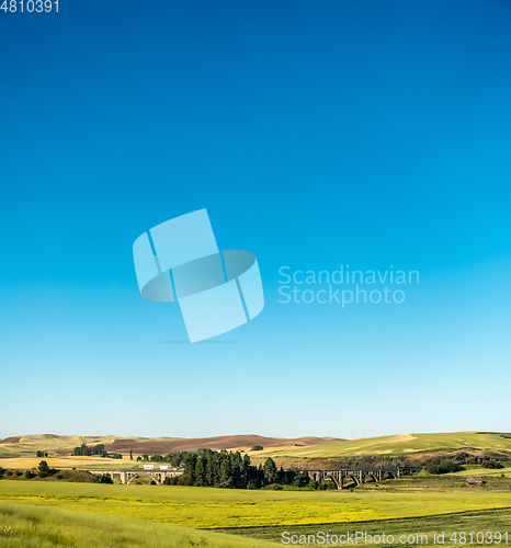 Image of Magical wheat farm fields in palouse washington