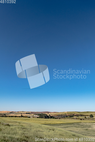 Image of Magical wheat farm fields in palouse washington