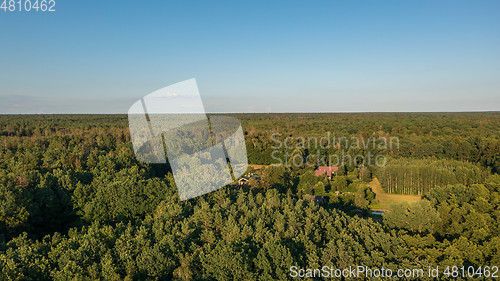 Image of Polish part of Bialowieza Forest to east