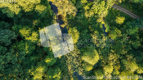 Image of Forest river crosing riparian tree stand