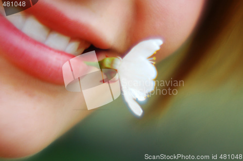 Image of Flower