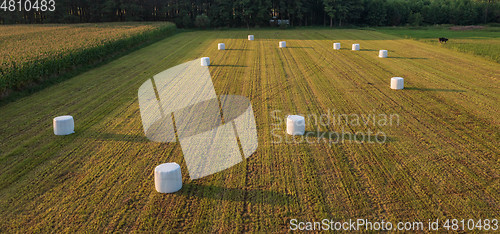 Image of Green meadow with ballots of hay lying