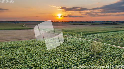 Image of Colorful sunset over fields aerial