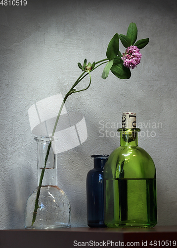 Image of Still life with Red Clover