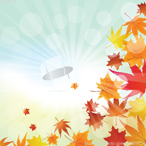 Image of Autumn  Frame