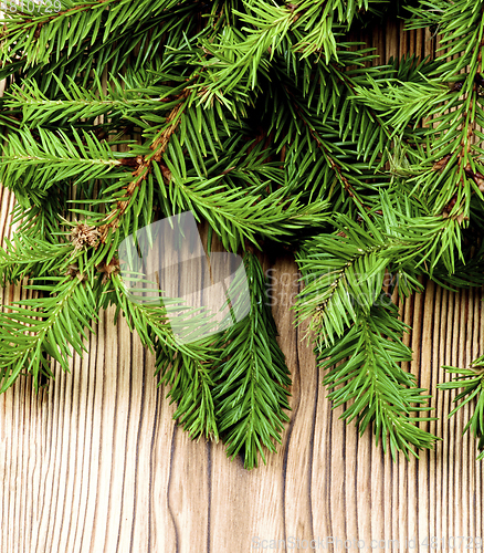 Image of Christmas Background with Spruce Branch