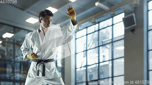 Image of Confident korean man in kimono practicing hand-to-hand combat, martial arts