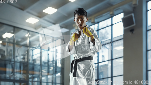 Image of Confident korean man in kimono practicing hand-to-hand combat, martial arts