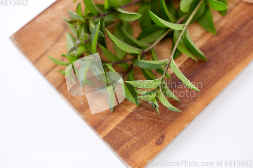 Image of bunch of fresh peppermint on wooden cutting board