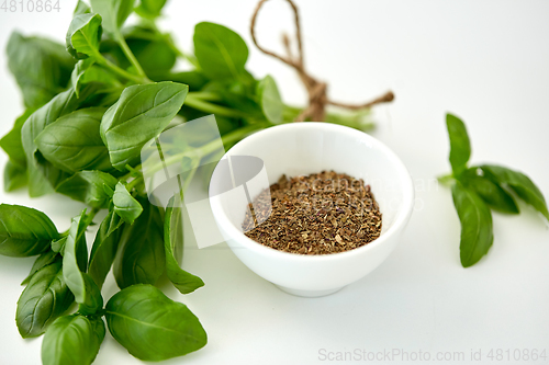 Image of fresh basil and dry seasoning on white background