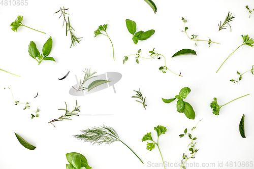 Image of greens, spices or herbs on white background