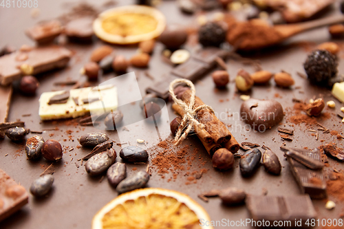 Image of cocoa beans, chocolate, nuts and cinnamon sticks